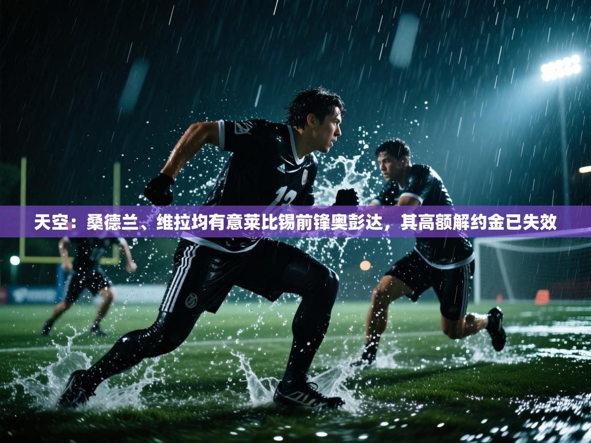 天空：桑德兰、维拉均有意莱比锡前锋奥彭达，其高额解约金已失效  第2张