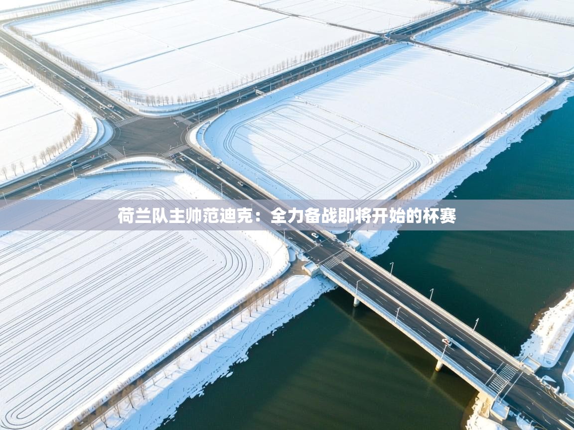 荷兰队主帅范迪克:全力备战即将开始的杯赛 第1张