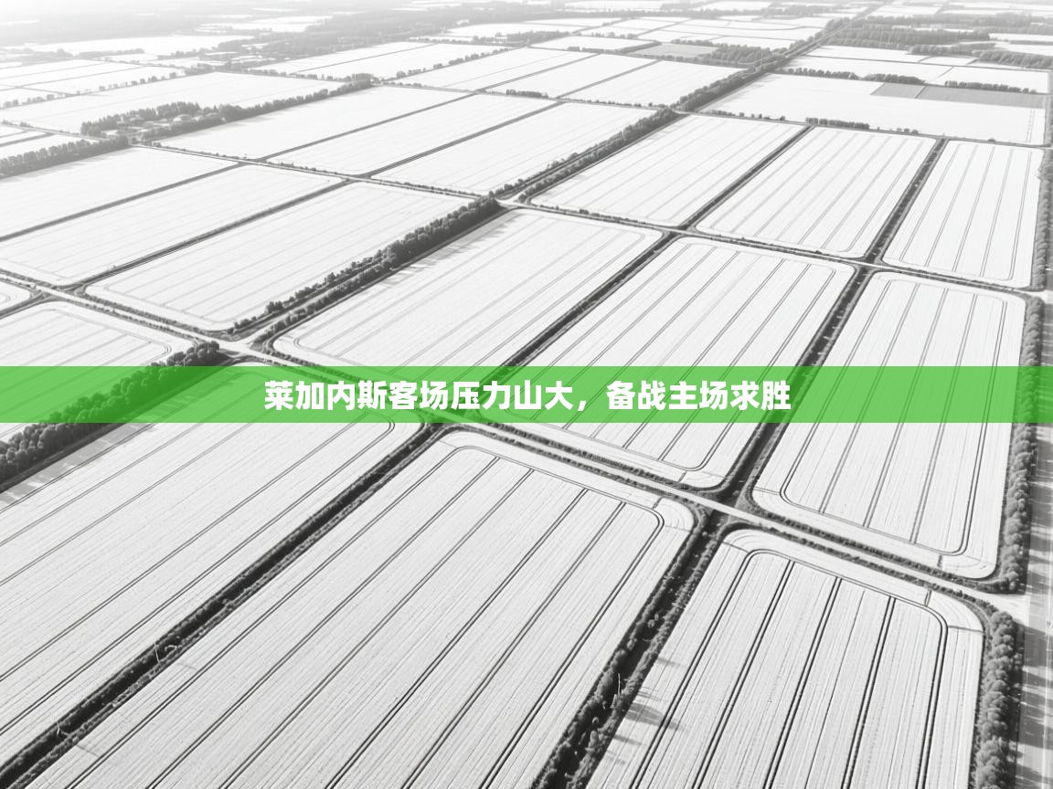 莱加内斯客场压力山大,备战主场求胜 第1张