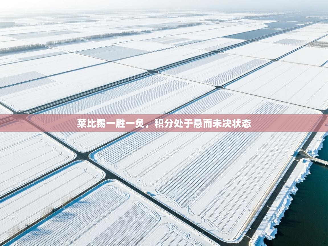 莱比锡一胜一负，积分处于悬而未决状态  第1张