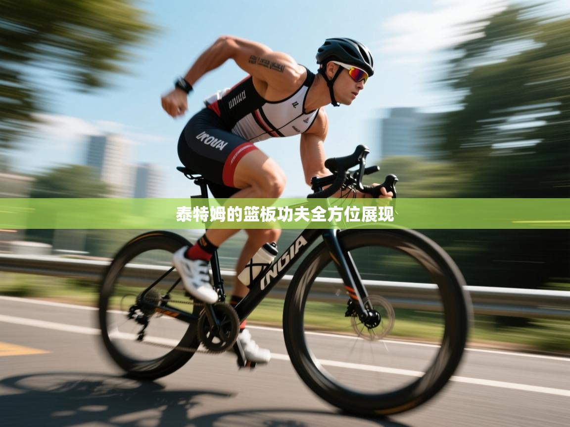 泰特姆的篮板功夫全方位展现 第1张